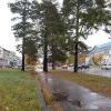 Моё, осень, октябрь, любимый квАртал)))) Моё, осень, октябрь, любимый квАртал))))