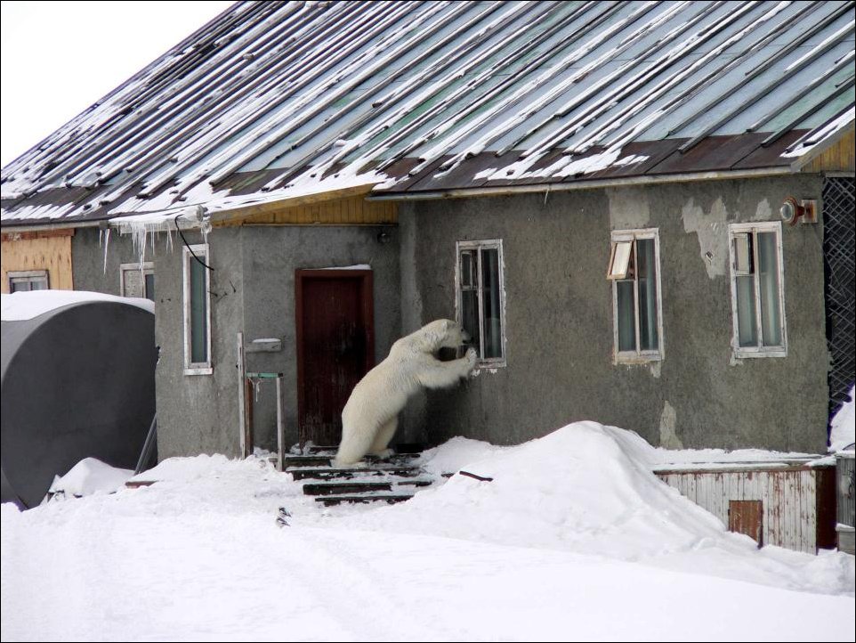 тук-тук...эй,есть кто дома?