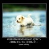 Любовь за деньги Любовь за деньги