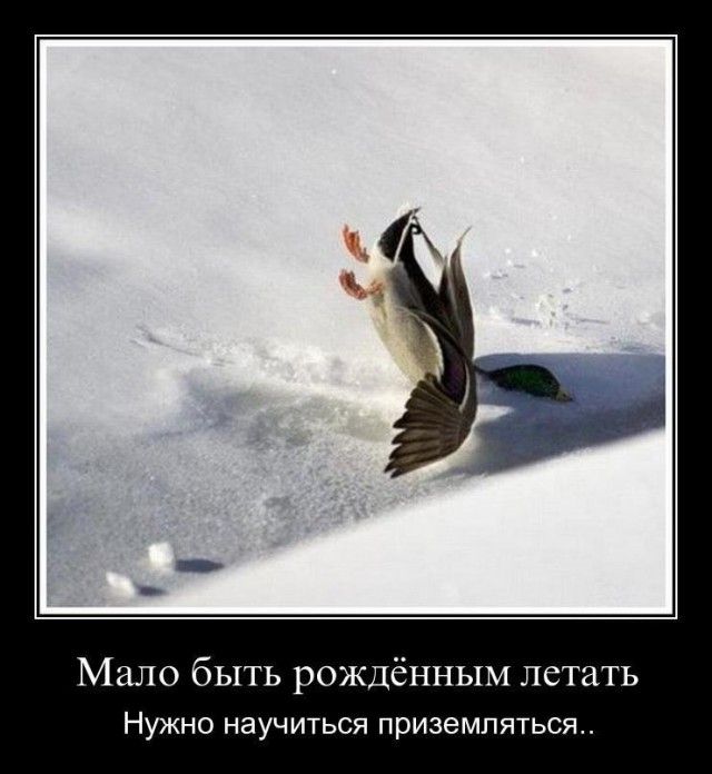Рождён летать