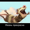 Жизнь прекрасна