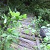 IMG 20160717 161058