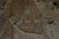 древние петроглифы: птицы