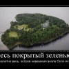 Весь покрытый зеленью Весь покрытый зеленью