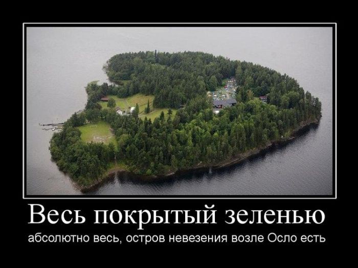 Весь покрытый зеленью