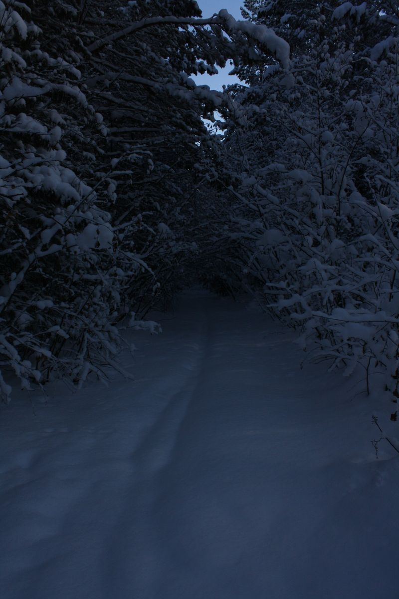 портал в параллельный мир