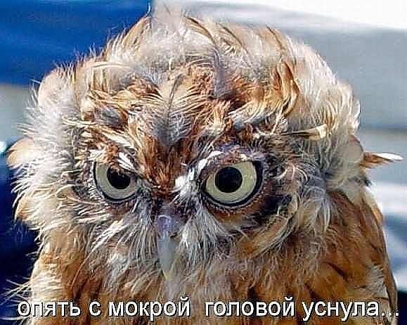 Причёска.
