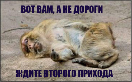 Вот вам а не дороги