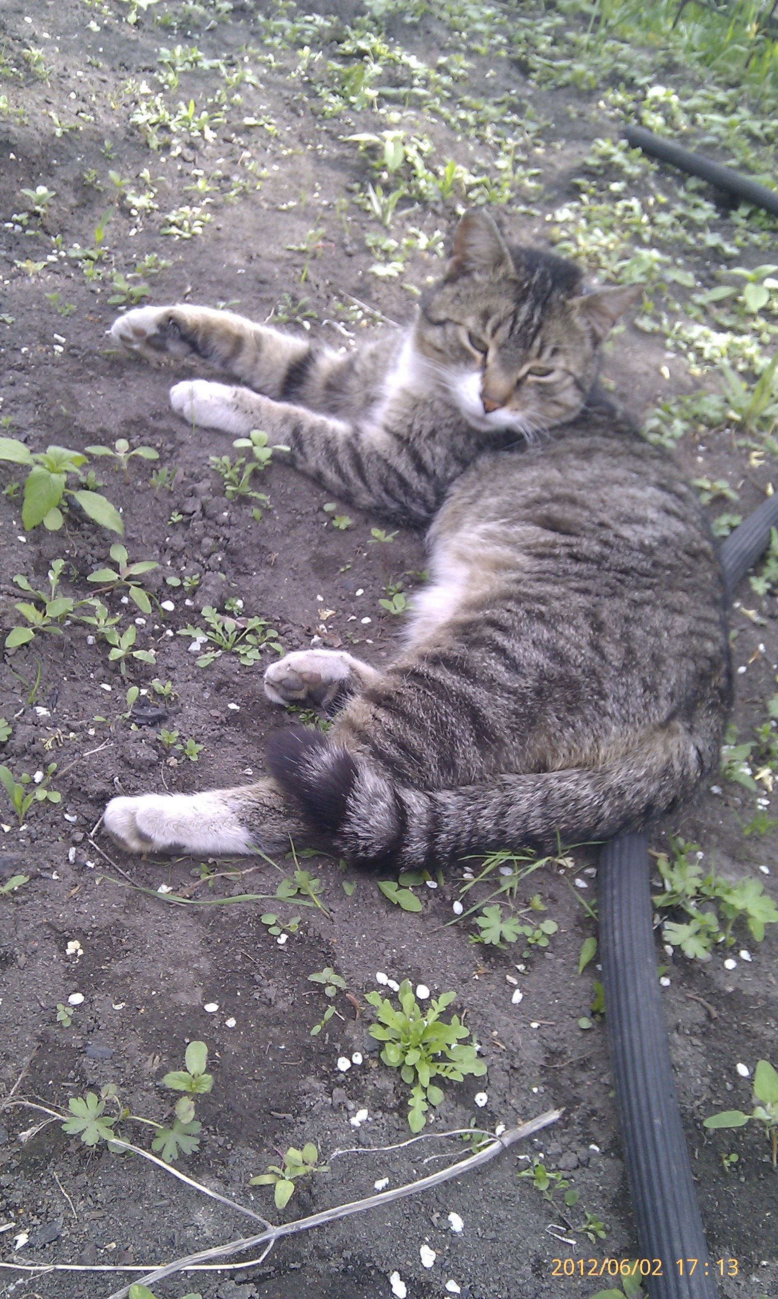 Палажыл на роботу))))