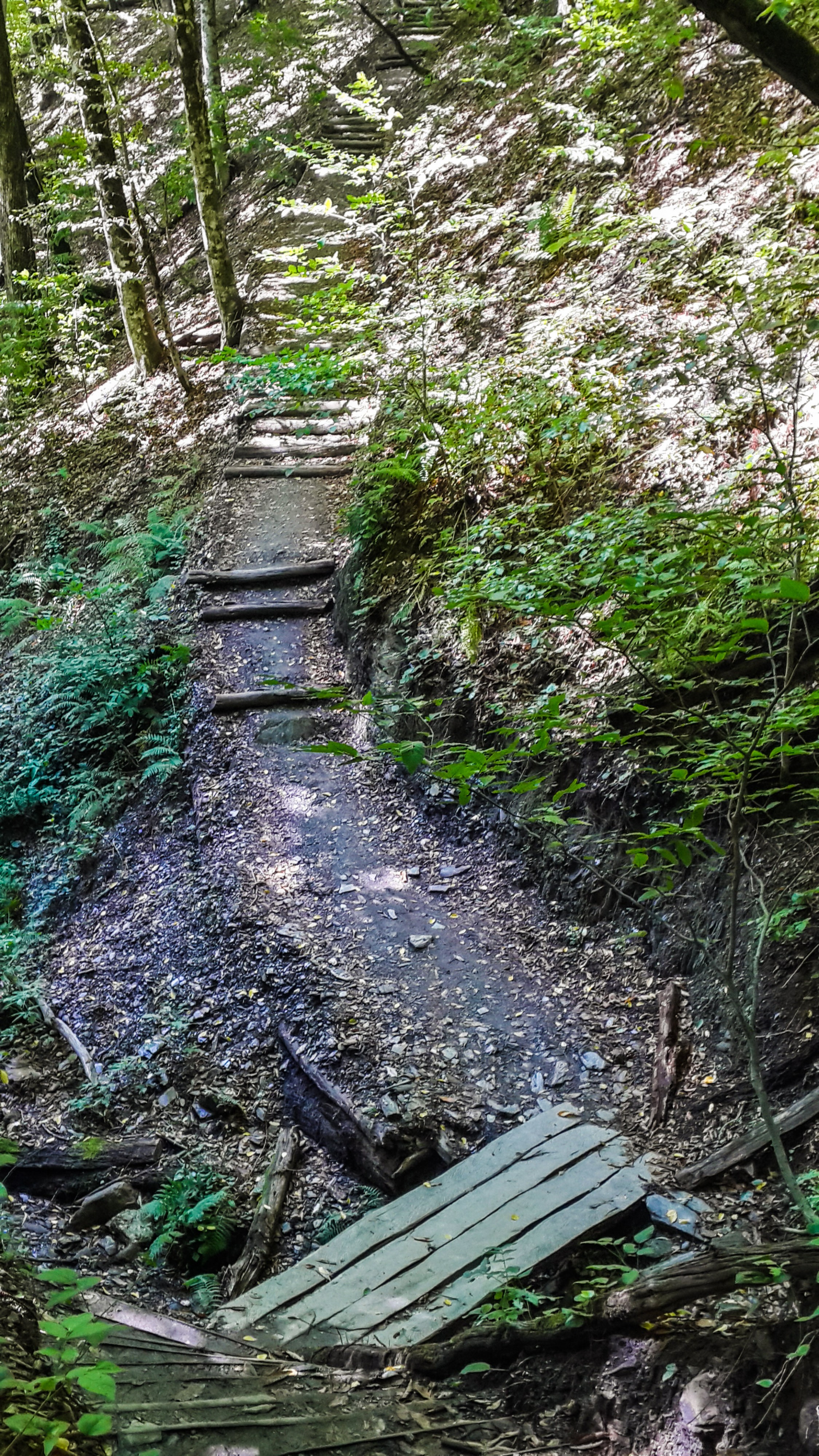 тропа здоровья в Роза Хутор 