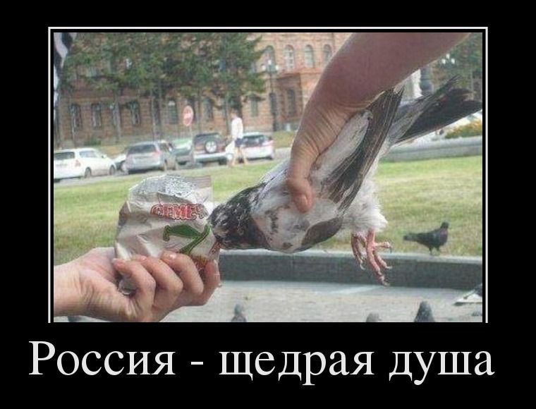 Россия