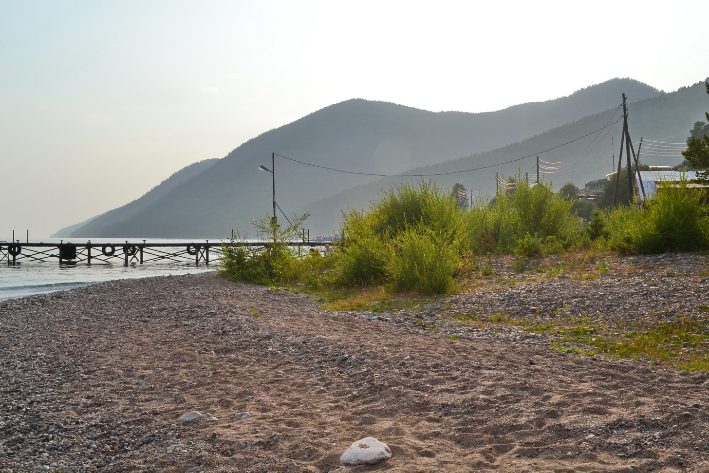 Большие КОты))))))