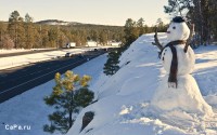 Снеговик сдаётся