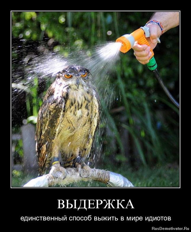 Выдержка