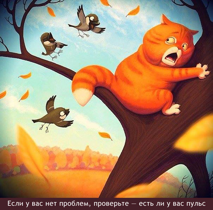 Нет проблем