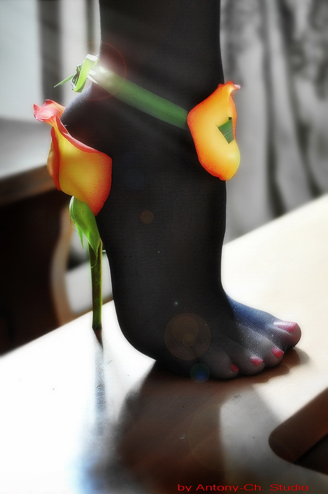 Еще одна босоножка  :  ))