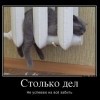 Столько дел Столько дел