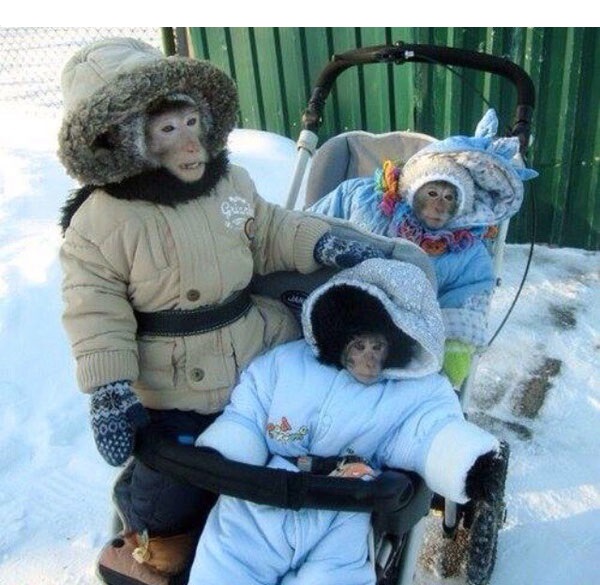 извините но бананьев не ма