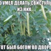 Свистульки Свистульки