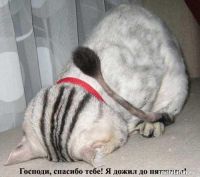 Пятница!!