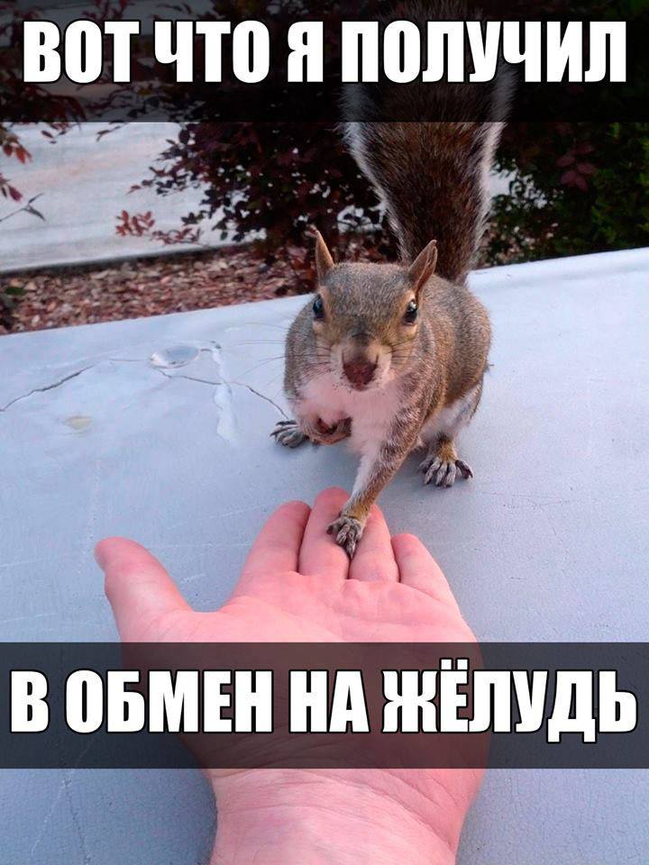 10297600 10152369232939025 355123399418055648 n