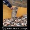 )))