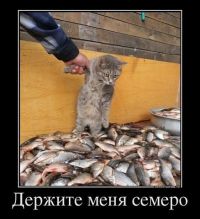 )))