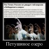Петушинное озеро