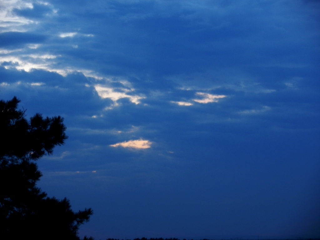 Ангарск под присмотром