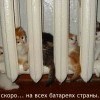 Скоро Скоро