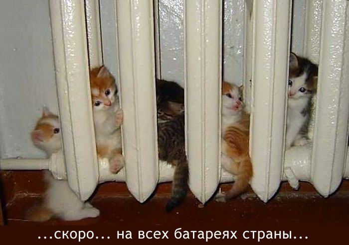 Скоро