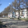 IMG 2394 IMG 2394