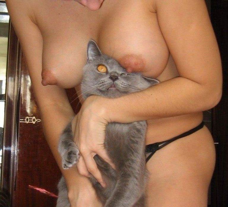 кота можешь не искать)))))