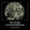 Не будь параноиком Не будь параноиком
