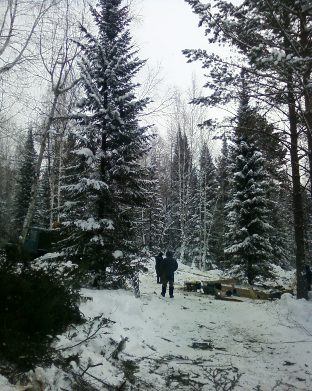  позвали ёлочку мы на новый год.. и она сказала завтра вечером прийдёт