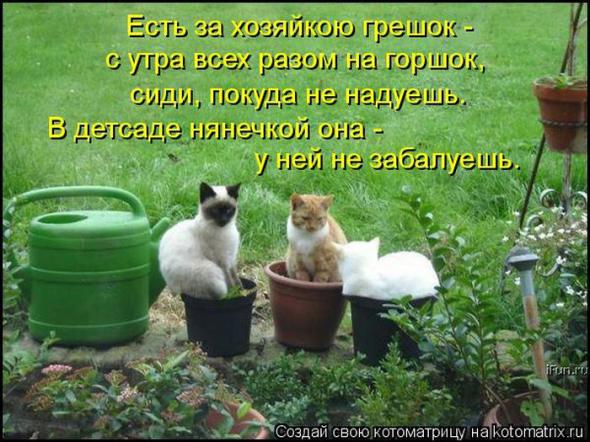 Ef81196931cf9652086450bf6d3 prev