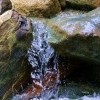 DSC 1323