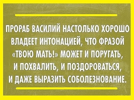 Твою мать