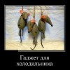 Гаджет для холодильника