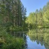 Болото — дом для бегемота. Но нам сидеть тут неохота.