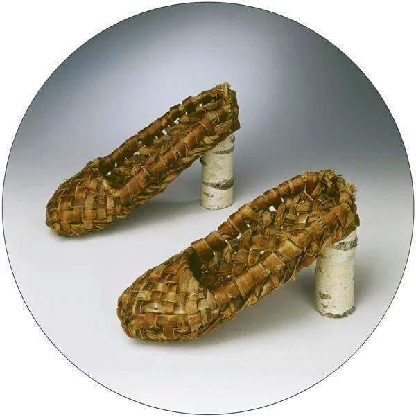 наш ответ импортозамещению - сколковские нанотуфли 