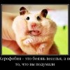 Херофобия