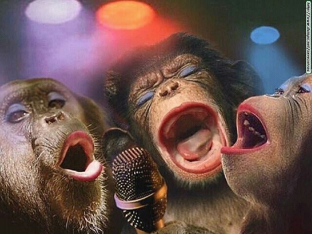 Я,Боцман и Рыжая вчера в караоке)))