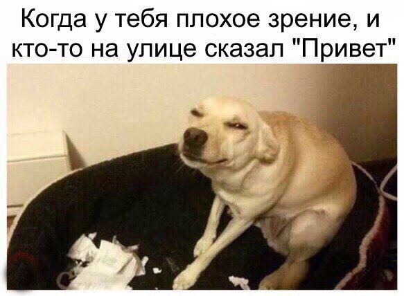 Когда у тебя плохое зрение