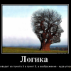 Логика и воображение