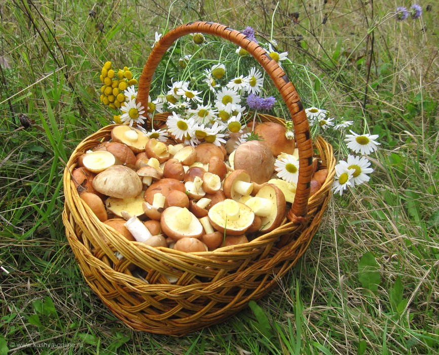 Пора уже в лес)))