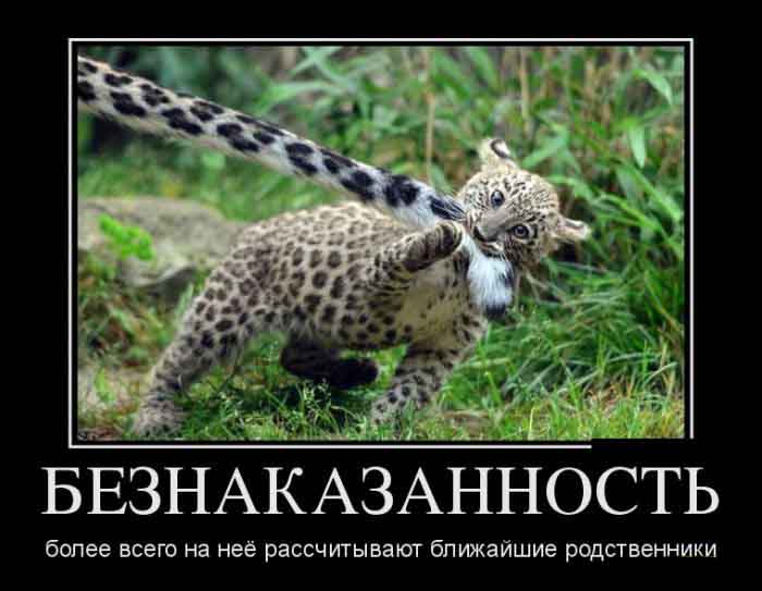 Безнаказанность