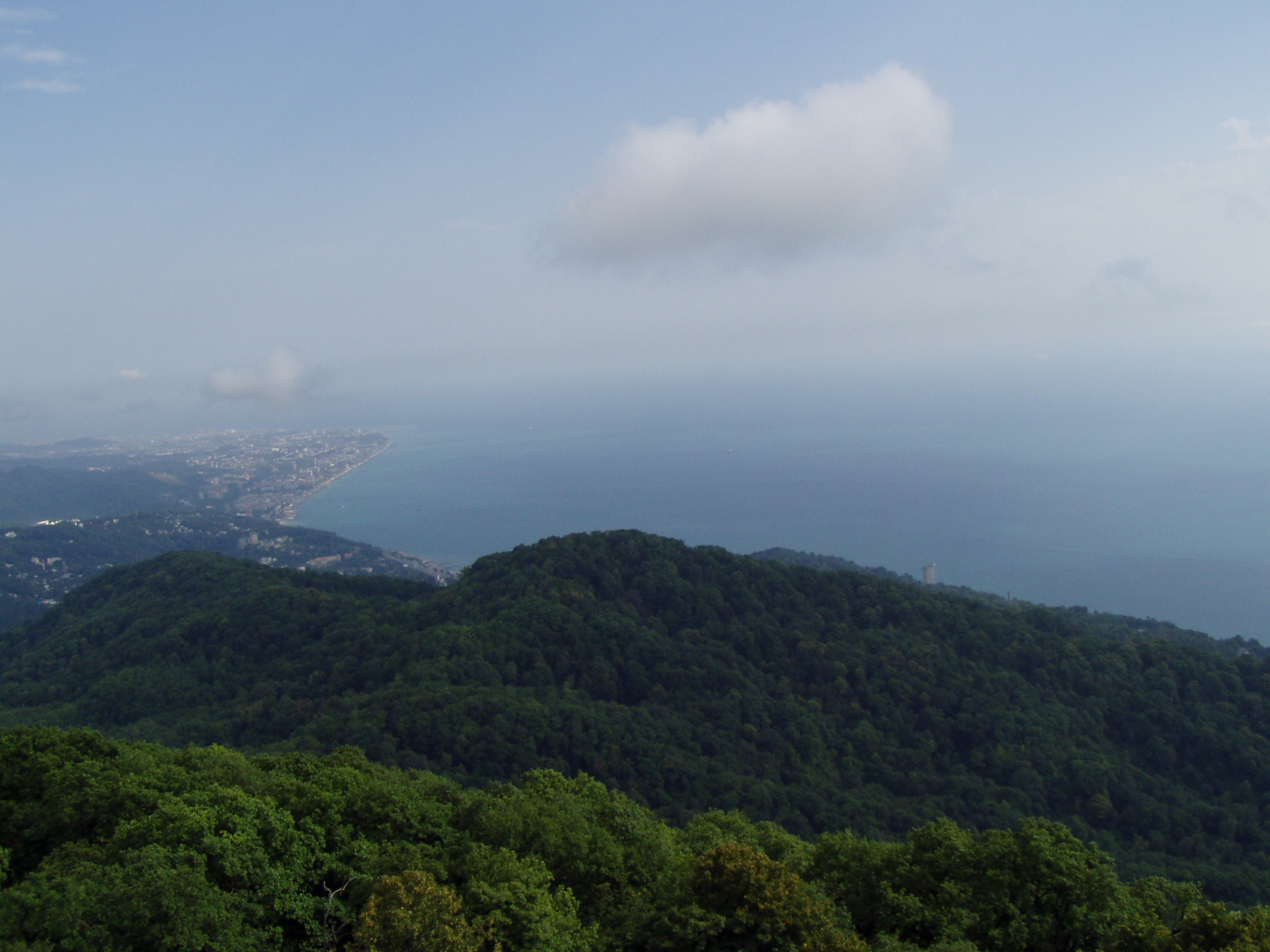 пролетая над гнездом кукушки