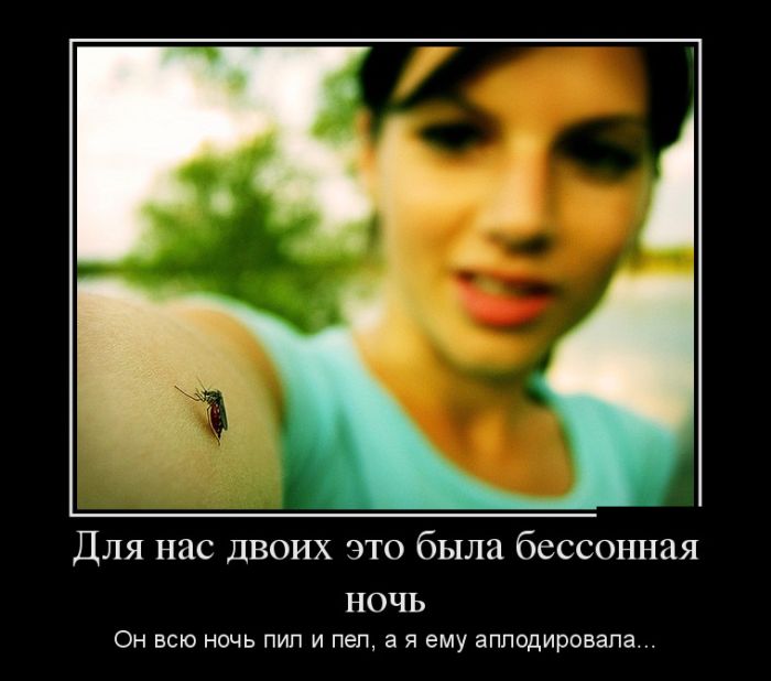 Бессонная ночь