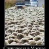 Проезд в Москве